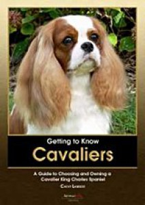 getting-to-know-cavaliers-edice-ebooks-cathy-lambert-vydal-animalinfo-publications.jpg